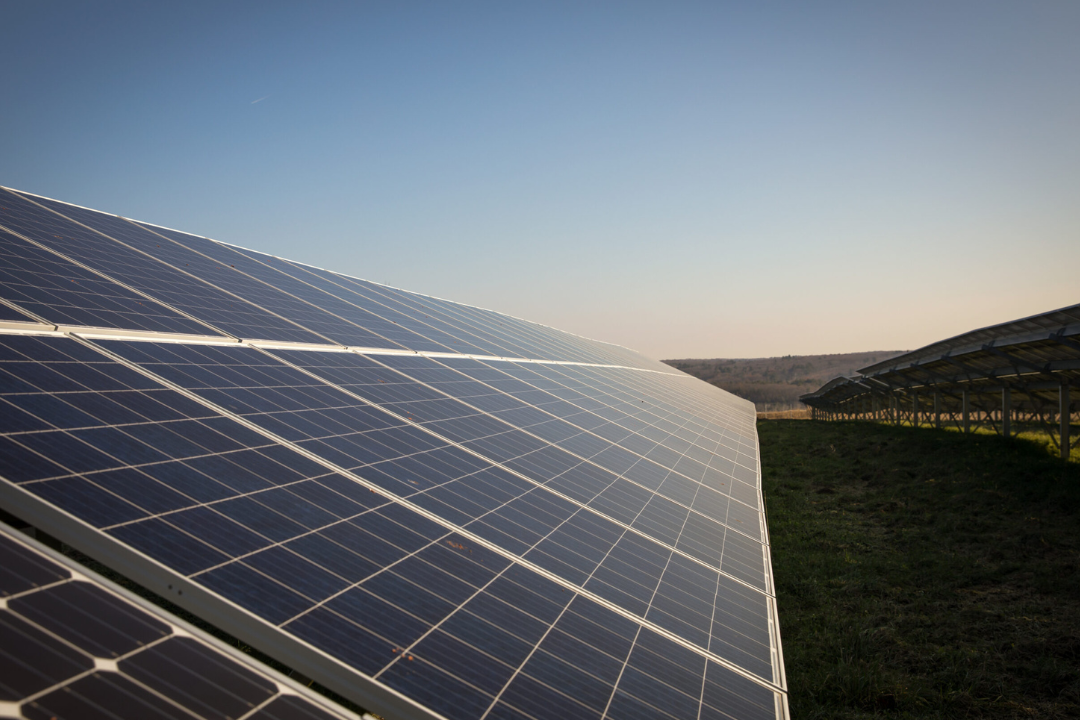 Untitled design (39)